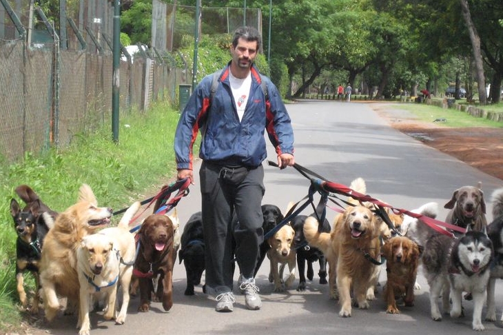  Dog Walking Service