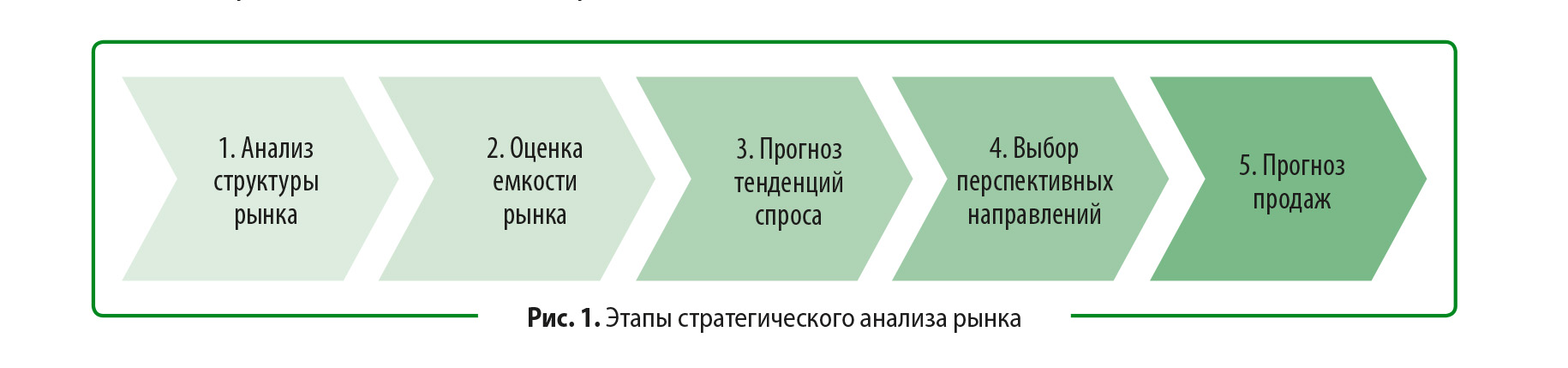 Экспертная оценка рынка и проработка бизнес-модели